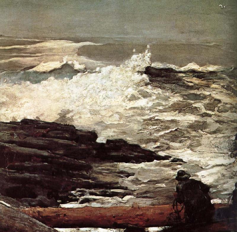 Driftwood, Winslow Homer